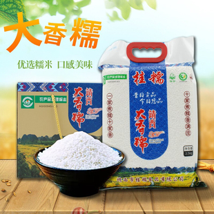 桂糯靖西大香糯袋装新米端午粽子白糯米江米黏米蒸糕米广西特产