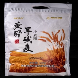 渤麦佳品河北沧州黄骅旱碱麦面粉做馒头包子饺子面条 2.5KG