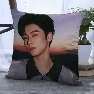 程相周边抱枕来图定制靠枕午睡枕头汽车沙发靠垫含枕芯学生日礼物