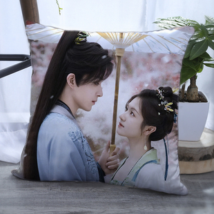 朝雪录双面抱枕敖瑞鹏李兰迪周边照片带枕芯靠枕靠垫枕头礼物定制