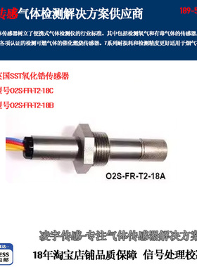 O2S-FR-T2-18C-003 英国SST棒式氧化锆02高温氧气( 4-20mA) 18A/B