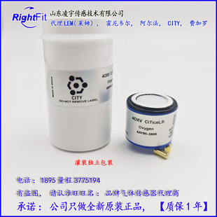 CITY英国4OXV氧气O2传感器AAY80-390R-BW仪4OXLL表SR-X2V, 4O2-GP