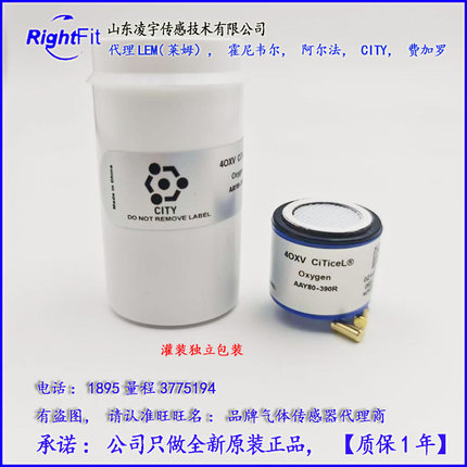 CITY英国4OXV氧气O2传感器AAY80-390R-BW仪4OXLL表SR-X2V, 4O2-GP
