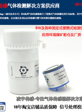 CITY英国4OXV氧气O2传感器AAY80-390R-BW仪4OXLL表SR-X2V, 4O2-GP