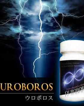 日本进口代购正品男性双头蛇OUROBOROS机能改善成人兵器黄金配比