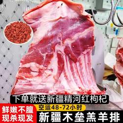 新疆生羊肉羊排羊肋排正宗木垒羔羊肉新鲜现杀包邮5斤