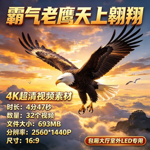 老鹰素材4K超清视频素材LED大屏动态背景动画制作包厢室外VJ素材