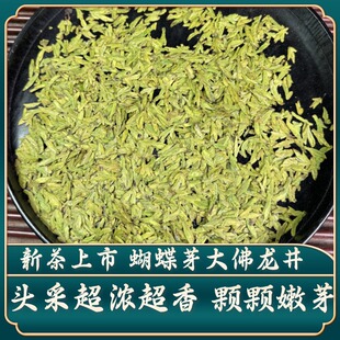 2026新茶龙井大佛浓香耐头采嫩芽明前特级高山绿茶御子恒罐装礼盒