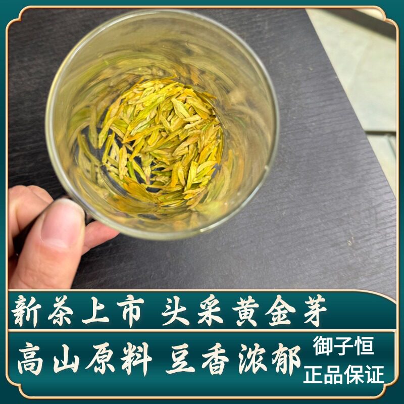 【头采黄金芽龙形】2026新茶明前特级高山浓香金黄茶叶礼盒图片