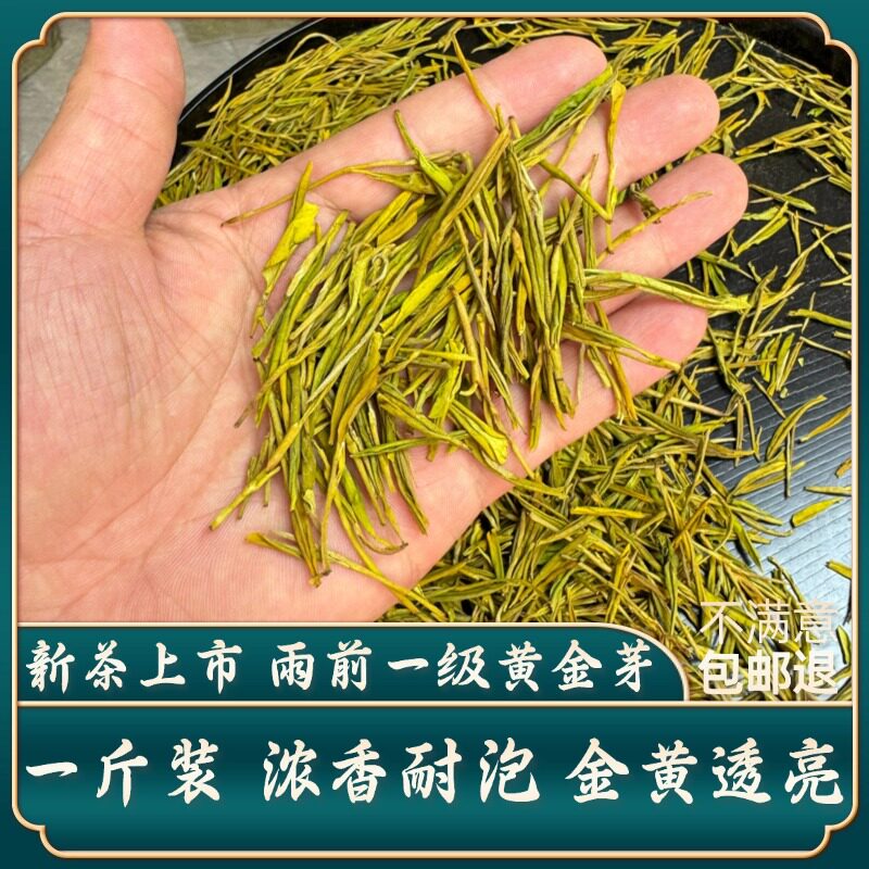 黄金芽雨前一级2026新茶叶正宗高山绿茶送礼浓香耐泡500g图片