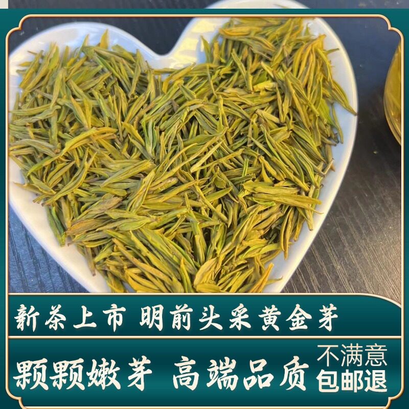 御子恒黄金芽头采新茶上市图片