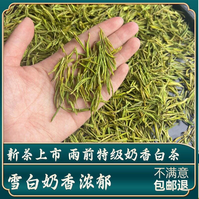 【雨前特级奶香白茶】2026新茶白茶高山珍稀绿茶春茶茶叶御子恒图片