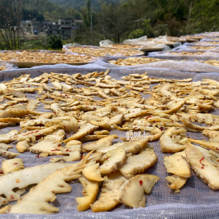 江西农家手工制作即食笋干咸味甜味嫩笋尖办公室怀旧小零食土特产