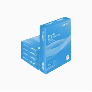 得力A4纸白令海A4纸 铂印A4纸打印复印纸70g 纸张 a4机打印白纸