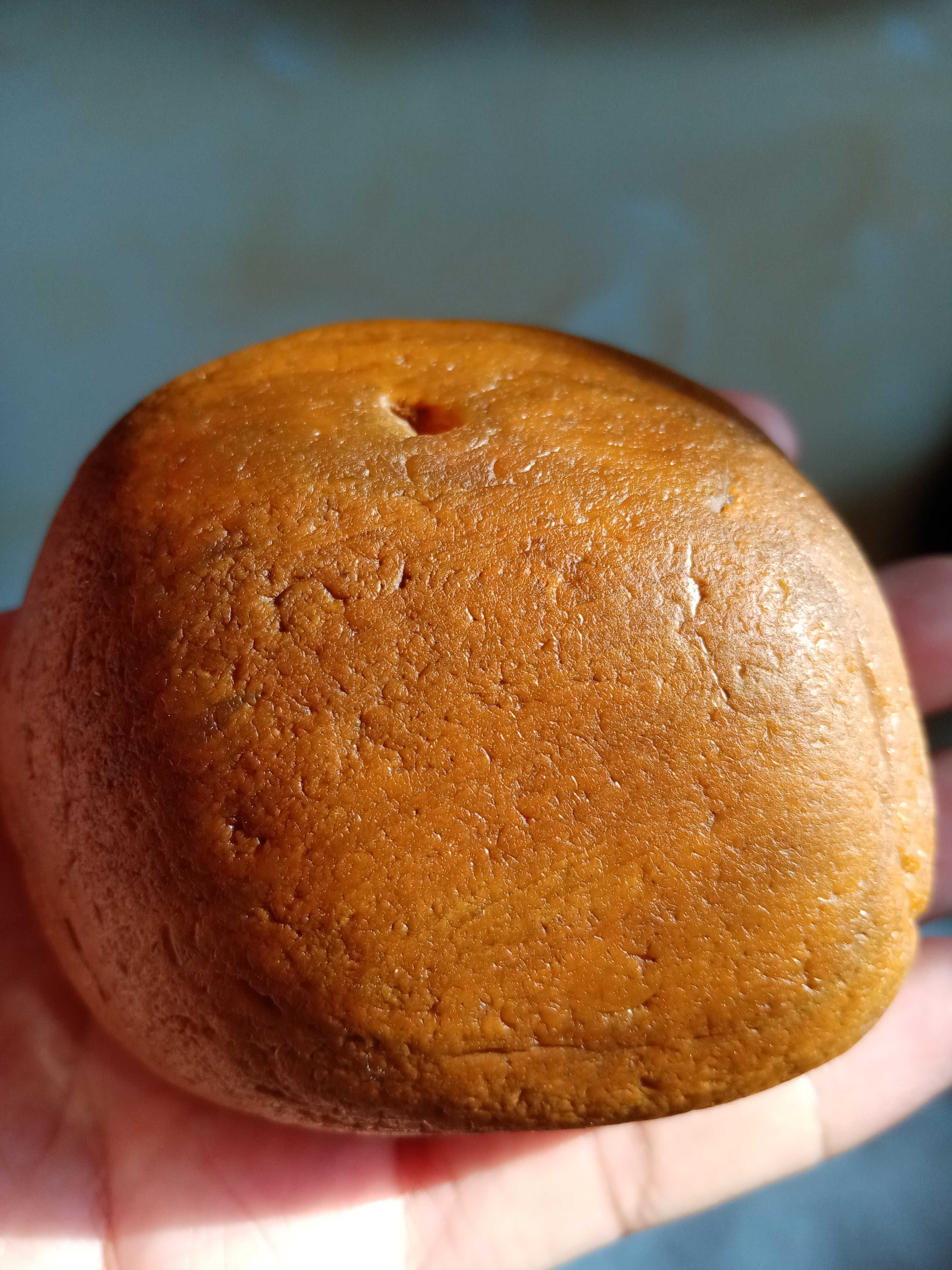 黑龙江瑰宝玛瑙化树化玉原料摆件奇石硅化木有机宝石手把件364克