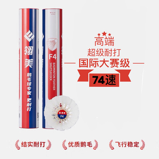 翎美F4云贵川藏陕甘宁青海新疆LING MEI羽毛球国际比赛落点稳定