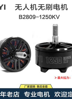 TYI B2809 无刷电机 FPV航拍长续航7寸 桨马达航模穿越机 配件