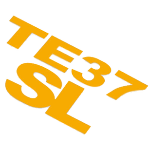 TE37SL汽车轮毂装饰贴防水车贴个性改装钢圈条幅整套汽车潮流贴纸