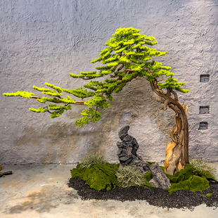 迎客松仿真树大型假树中式室内造景崖柏松绿植玄关橱窗楼梯下景观