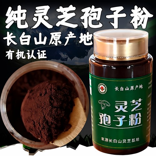 有机灵芝孢子粉长白山正品250G