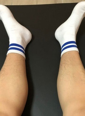 4双男士袜子男棉短袜四季中筒彩虹条纹篮球运动短袜防臭吸汗潮袜