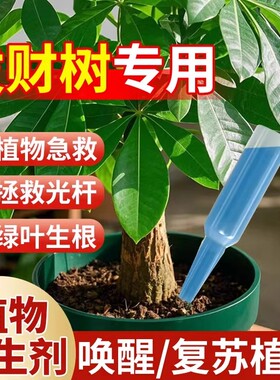 发财树植物再生剂浓缩营养液复活液肥盆栽肥料专用防黄叶枯叶烂根