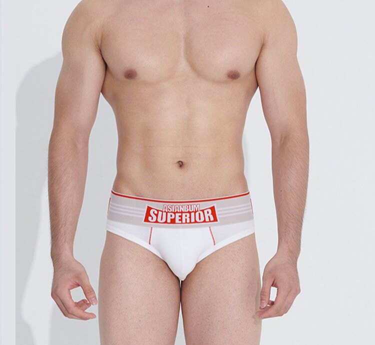 男士三角内裤棉质透气加宽腰带大囊袋简约一片式性感时尚内裤