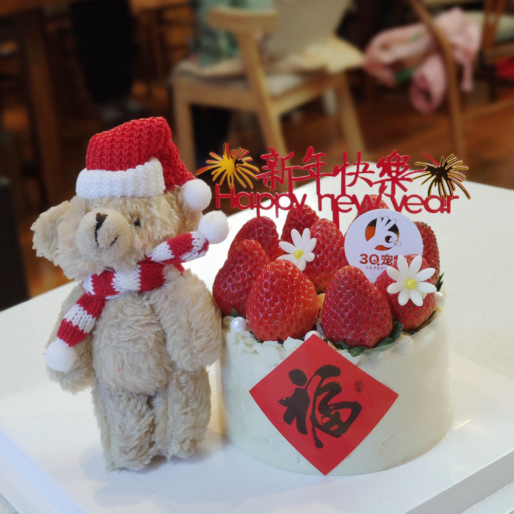 猫咪5寸8寸10寸6寸通用中国狗狗生日奶蛋糕3q宠物自制草莓熊
