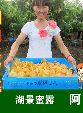 【阿明】正宗无锡阳山水蜜桃白凤