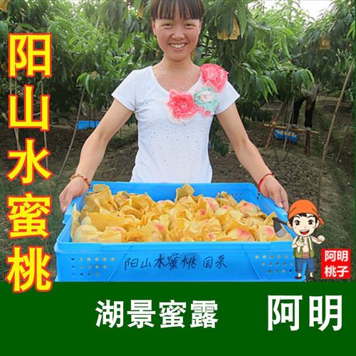 【阿明】正宗无锡阳山水蜜桃白凤