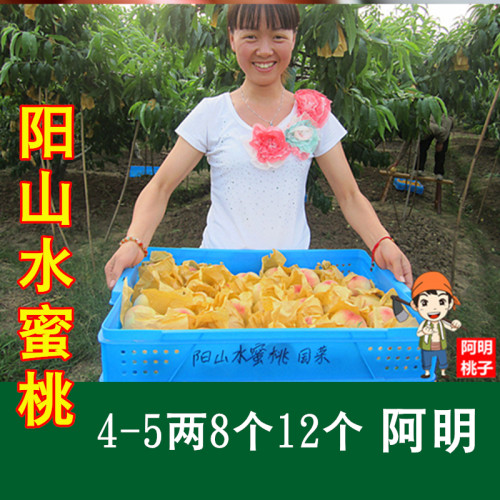 【阿明】正宗无锡阳山水蜜桃
