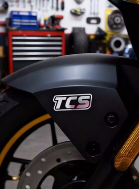 TCS车贴贴纸前挡泥板装饰小牛nxt fxt九号M95C极核AE5i电动车贴NX