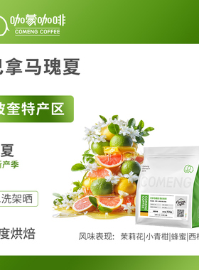 咖蒙 巴拿马瑰夏 水洗精品手冲咖啡豆 新鲜烘焙现磨 黑咖啡粉125g