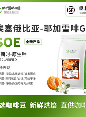 意式SOE橘莉时 埃塞俄比亚耶加雪菲G1精品咖啡豆新鲜烘焙现磨250G