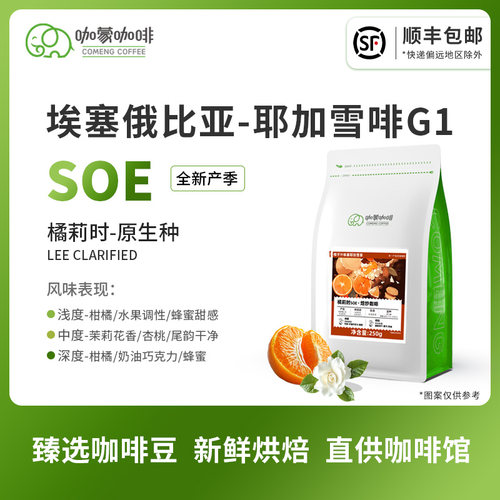 咖蒙soe咖啡豆埃塞俄比亚
