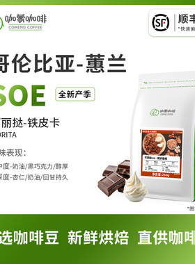 意式SOE可丽挞 哥伦比亚蕙兰水洗精品咖啡豆新鲜烘焙可现磨250G