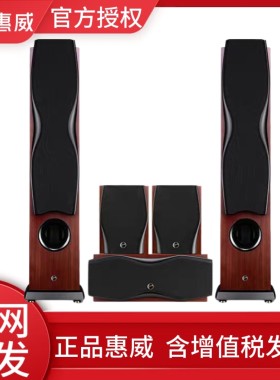 Hivi/惠威RM600AMKII家庭影院