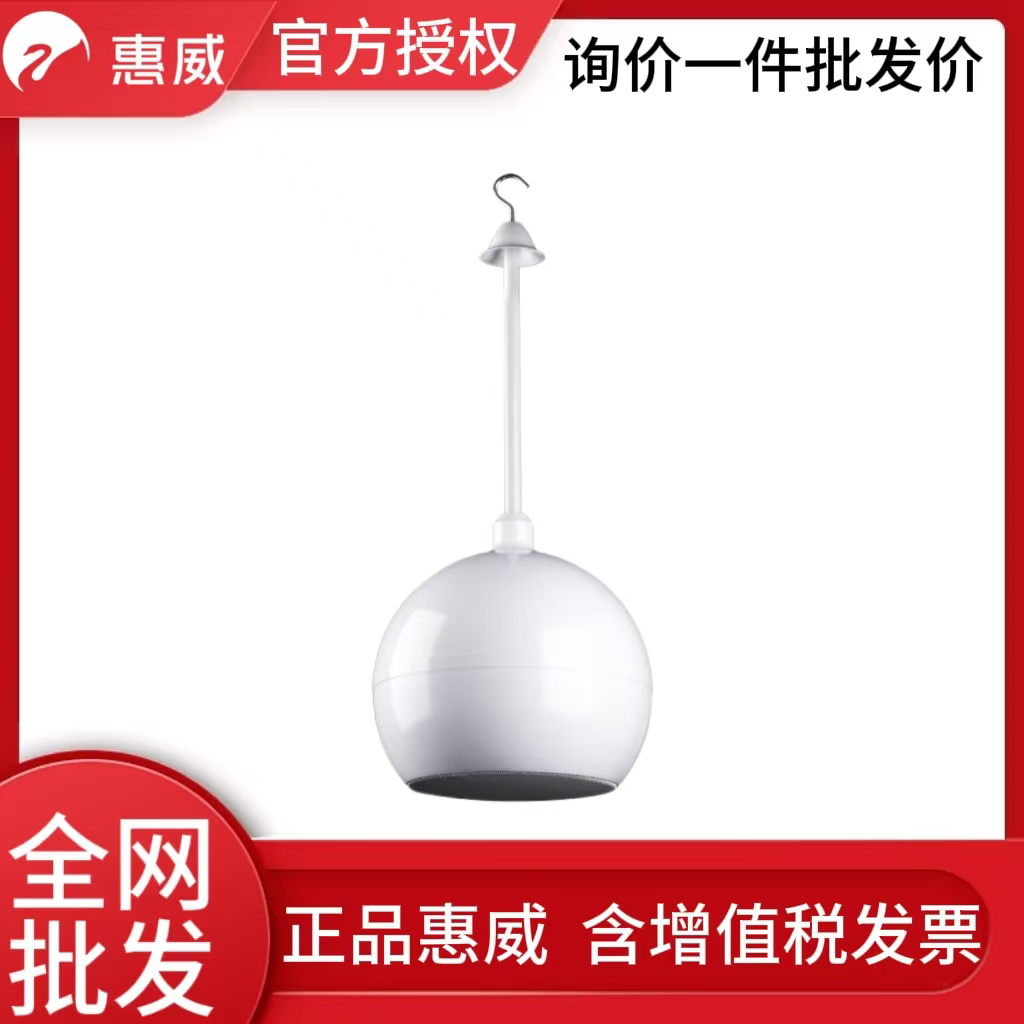Hivi/惠威 TW-103吊球音响咖啡厅背景音乐吊挂音箱吊杆悬挂式喇叭