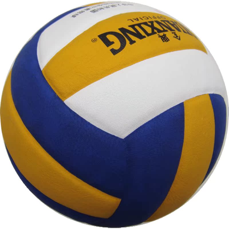 Ballon de volley - Ref 2016507 Image 4