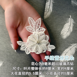 手工diy刺绣蕾丝小花朵辅料 婚纱衣服装裙子裤子包包布贴补丁材料