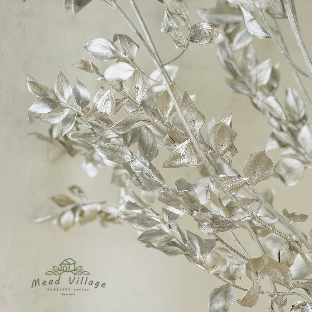 银色富贵叶永生花手工diy干花圣诞节花材银杉叶小尖叶摄影道具