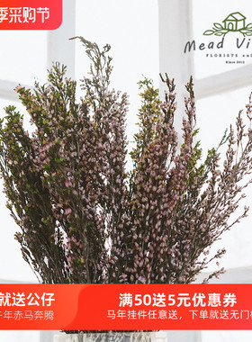 天然进口干花田园风紫色花朵天然植物民俗橱窗软装客厅插花束