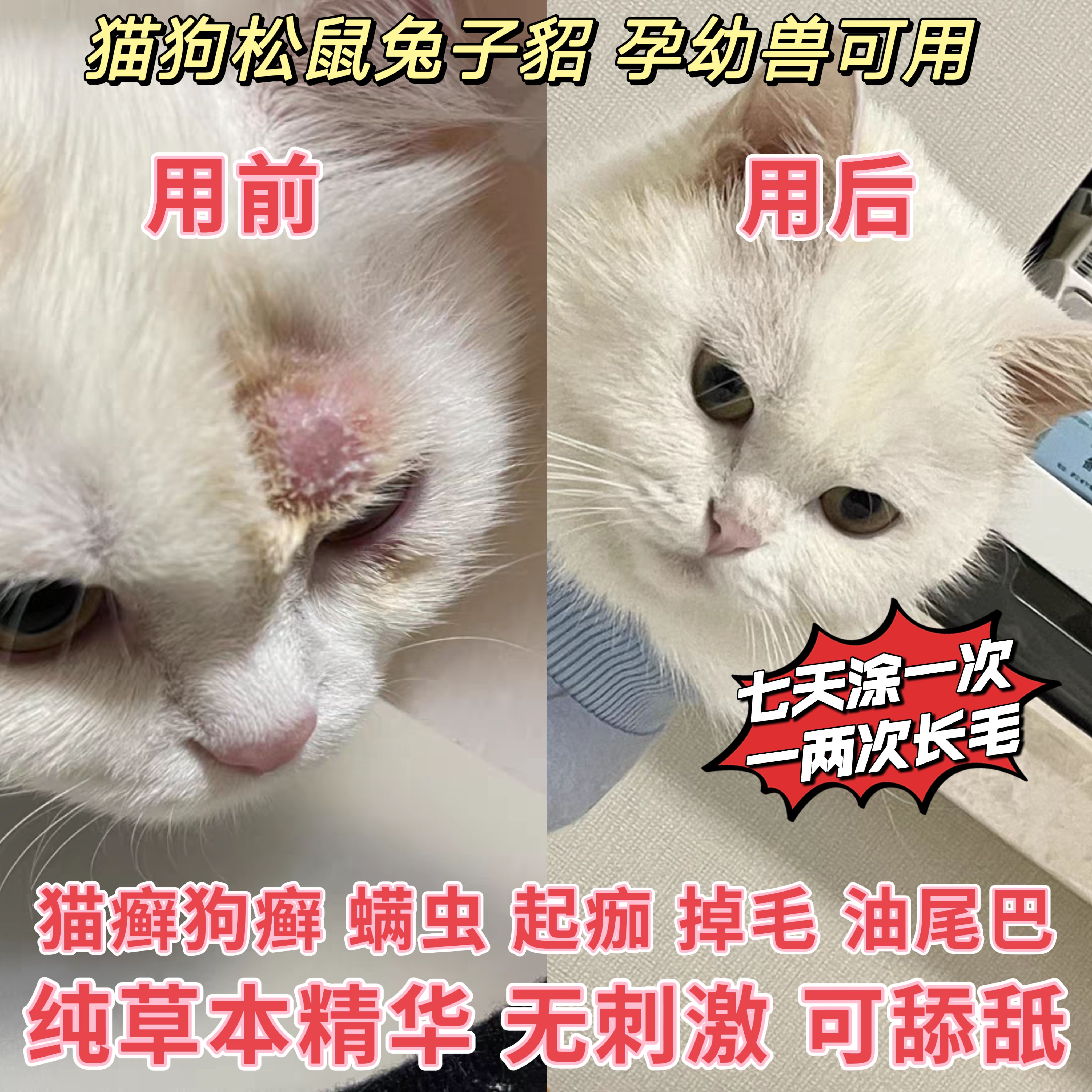 猫癣喷剂狗狗皮肤病外用油尾巴黑点点猫藓狗癣宠物猫螨虫菌喷雾-封面