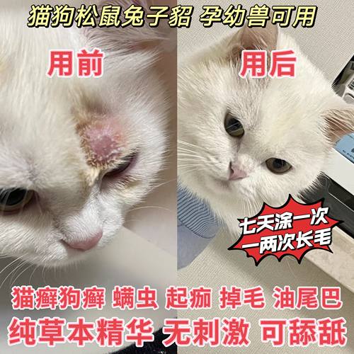 真菌细菌喷剂脱毛红肿痂狗皮肤病油尾巴趾间炎宠物猫外用非药嘴秃