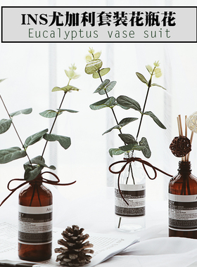 尤加利背景墙装饰摆拍摄影道具