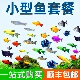 小型冷水鱼热带鱼活体观赏鱼好养耐活鹦鹉鱼天使鱼斑马鱼孔雀鱼苗