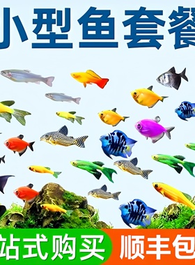 小型冷水鱼热带鱼活体观赏鱼好养耐活鹦鹉鱼天使鱼斑马鱼孔雀鱼苗