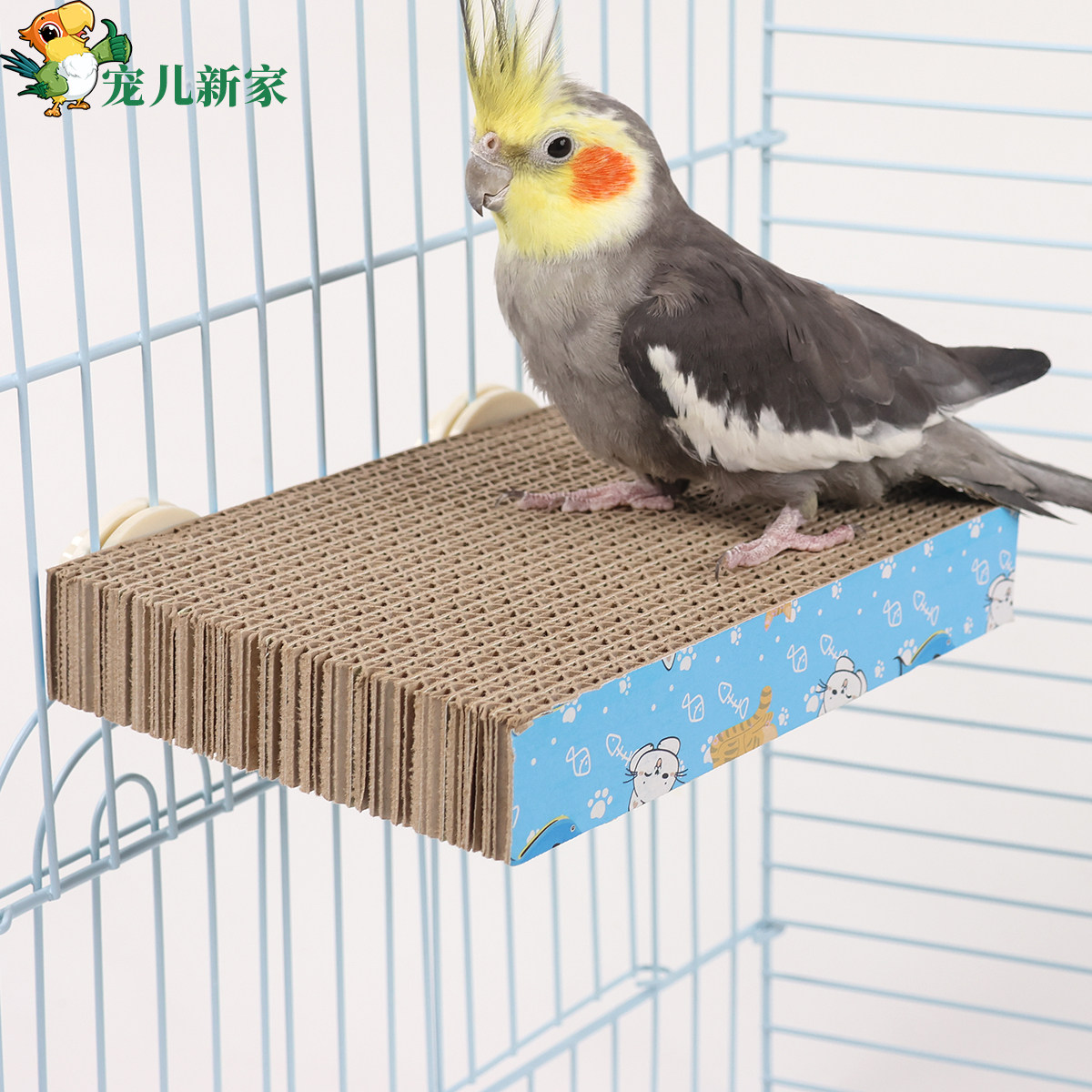 啃咬纸皮站台鹦鹉玩具解闷自嗨解压攀爬小鸟玩具鹦鹉秋千站棍装饰,宠物/宠物食品及用品,鸟玩具,淘宝优惠券,粉丝福利购,淘宝优惠卷