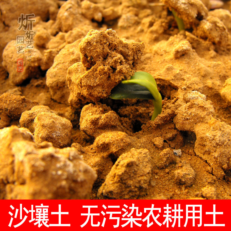 沙质土原生态沙壤土 盆景土多肉土 菌群合理 自然泥土园土种菜土