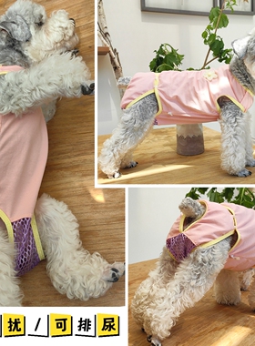 泰迪比熊犬生理裤防骚扰母狗狗姨妈裤纯棉小花可排尿薄月经期衣服